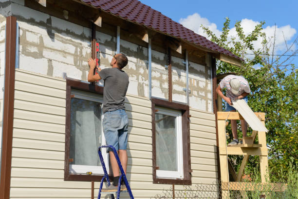 Trusted Buena Vista, CO Siding Experts